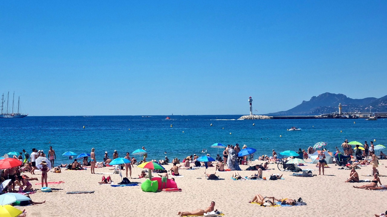 Photo of Others in Cannes City Centre