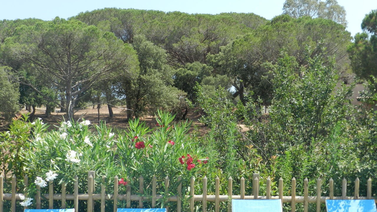 Photo of Outdoor in Frejus