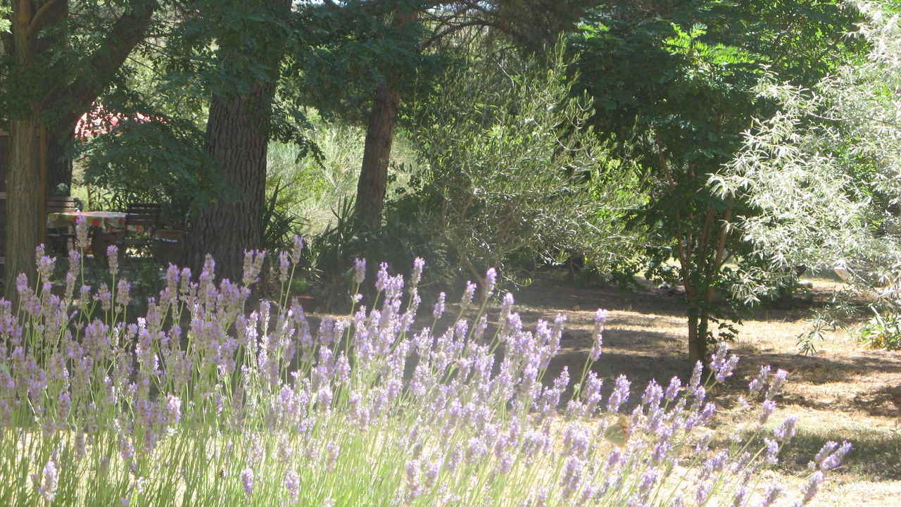 Photo of Outdoor in Lambesc