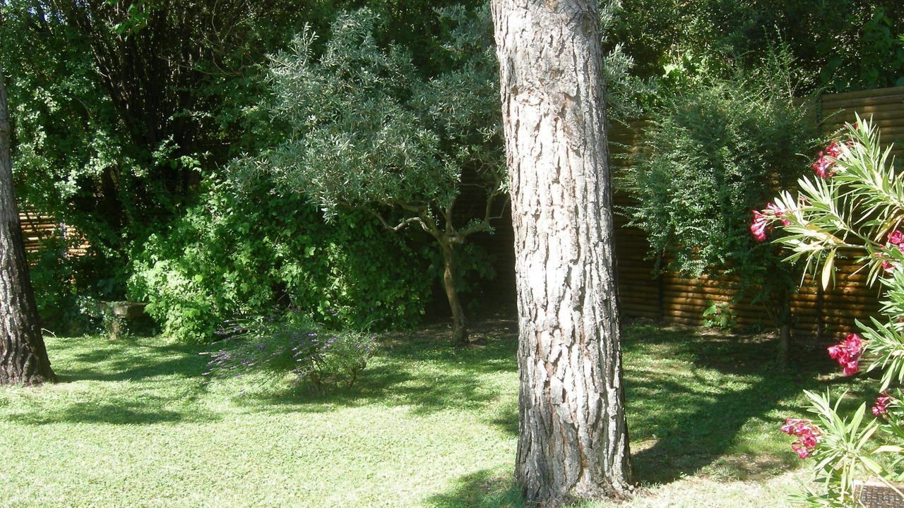 Photo of Outdoor in Jonquieres