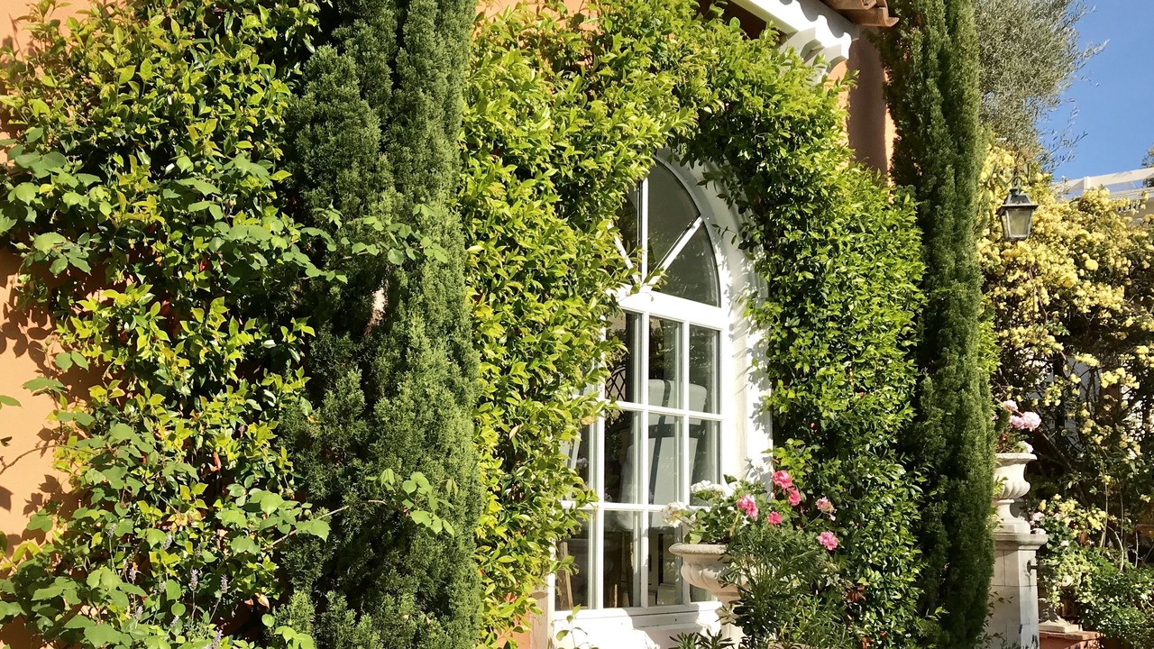Photo of Outdoor in Cap-d'Antibes