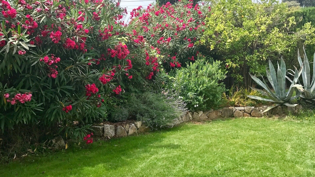 Photo of Outdoor in Mandelieu-La-Napoule