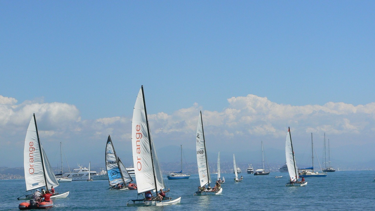 Photo of Others in Peymeinade
