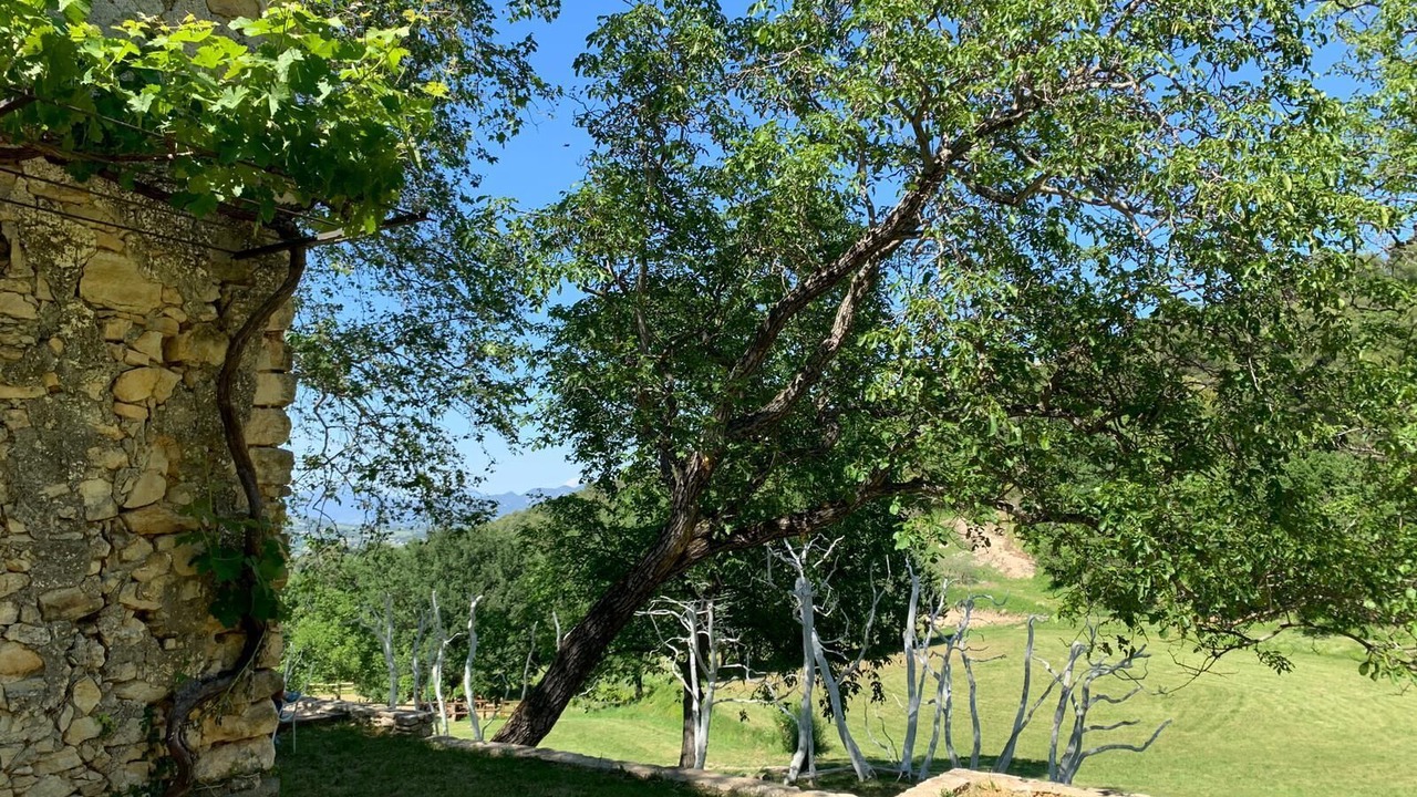 Photo of Outdoor in Vaison-la-Romaine