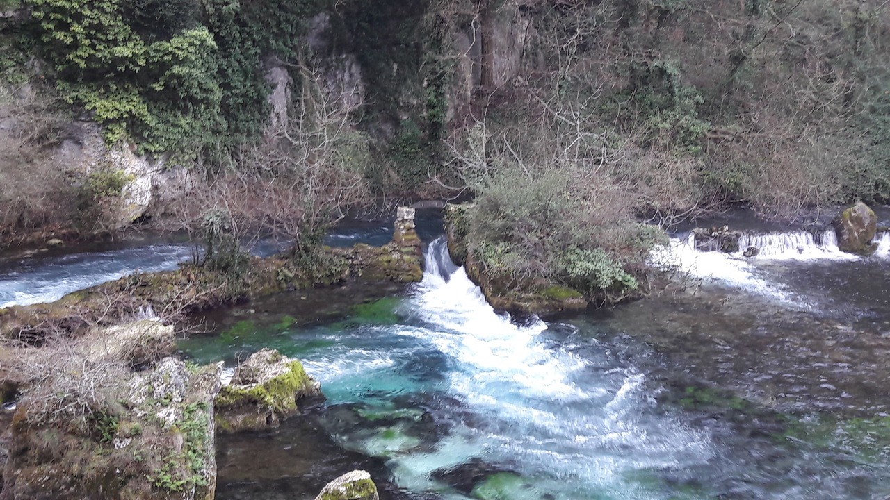 Photo of Others in L'Isle-sur-la-Sorgue