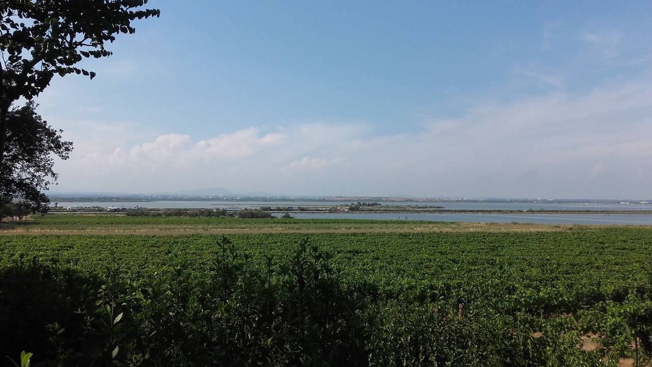 Photo of Others in Carnon-Plage
