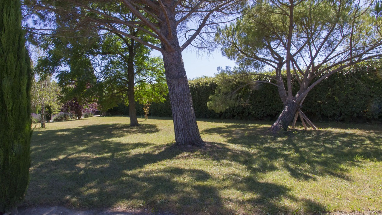 Photo of Outdoor in St.-Remy-de-Provence
