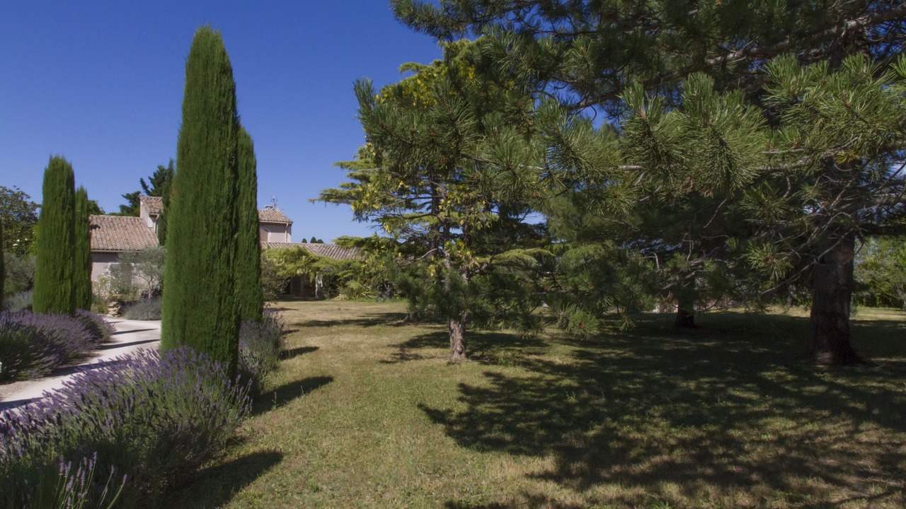 Photo of Outdoor in St.-Remy-de-Provence