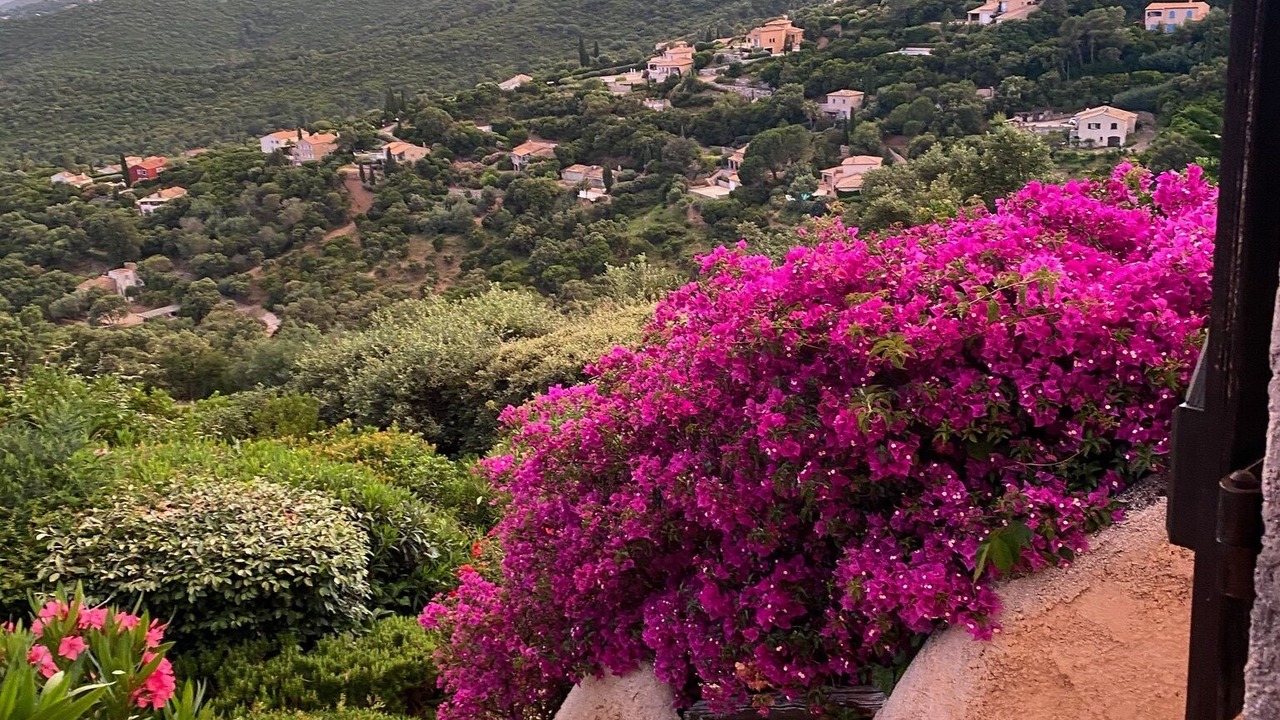 Photo of Outdoor in La Croix-Valmer