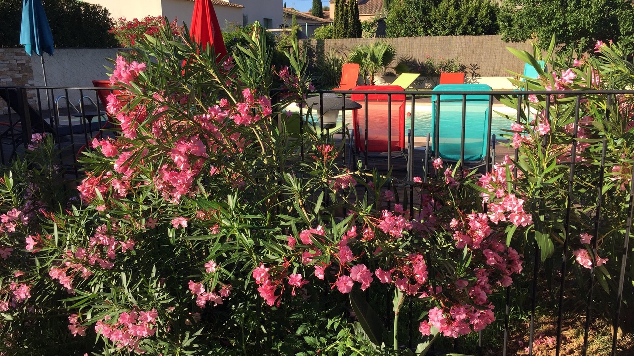 Photo of Outdoor in Six-Fours-les-Plages