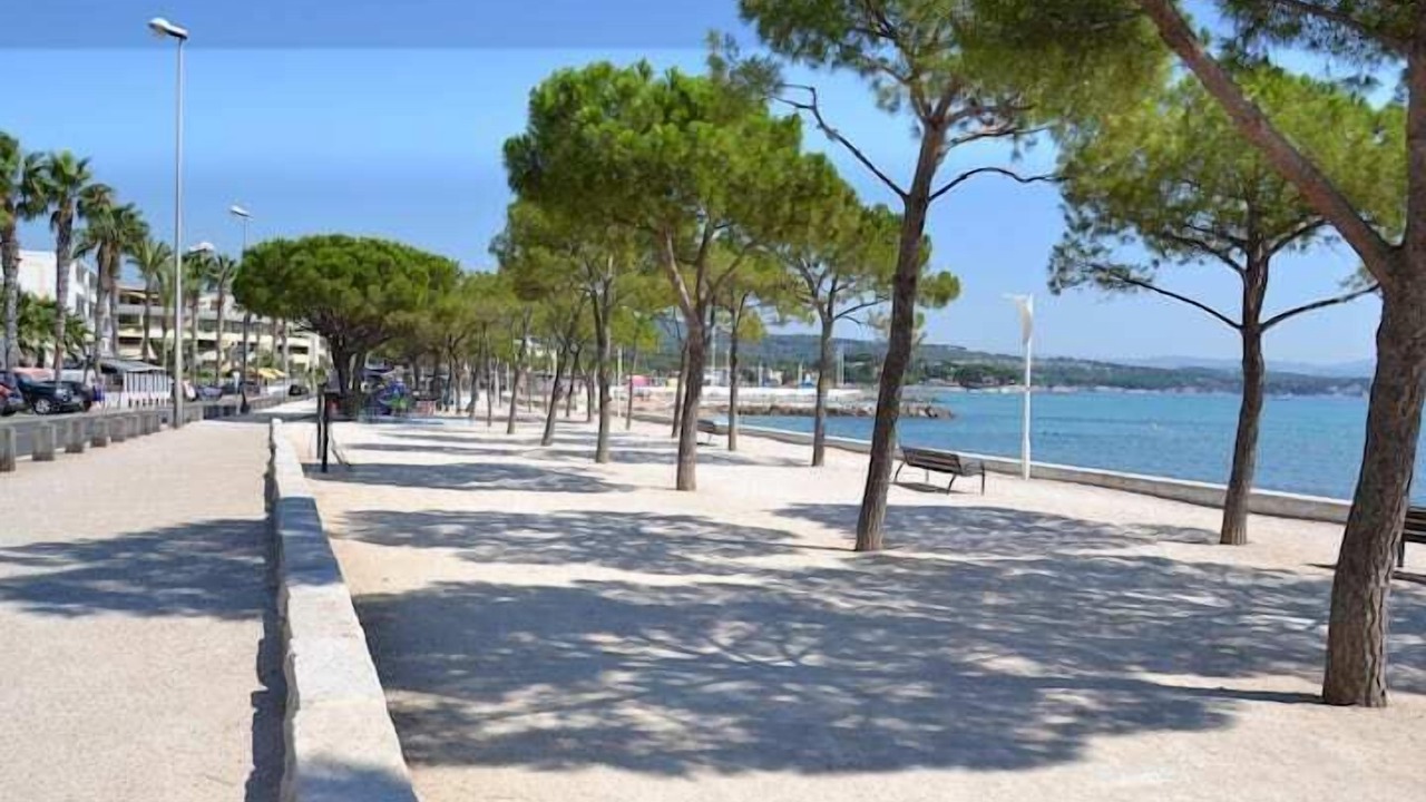 Photo of Others in La Ciotat