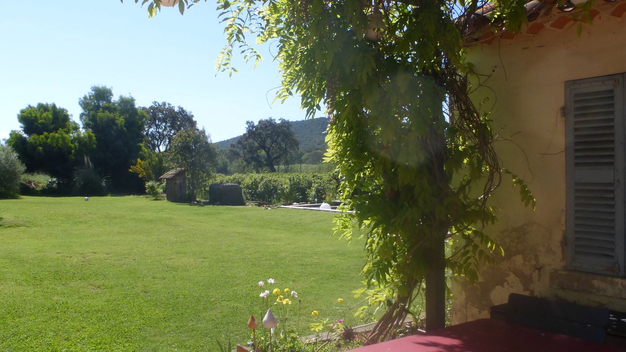 Photo of Outdoor in Bormes-Les-Mimosas