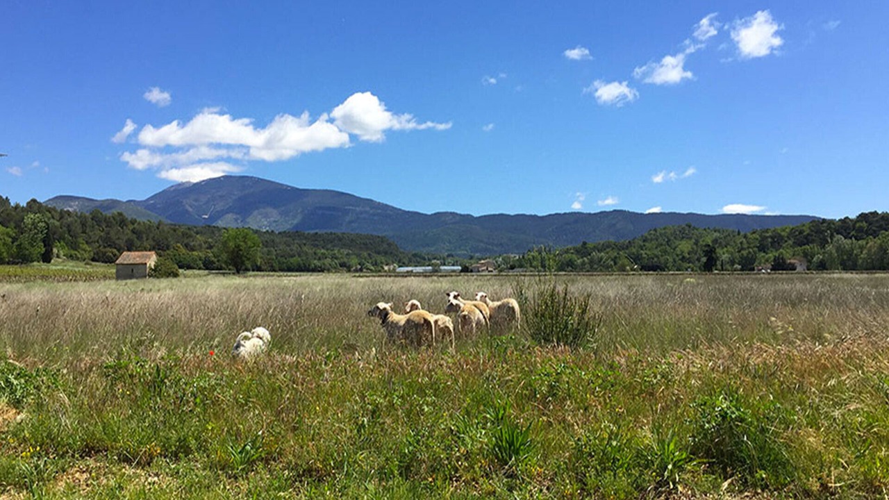 Photo of Outdoor in Entrechaux