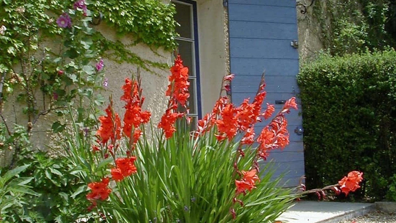 Photo of Outdoor in Lambesc