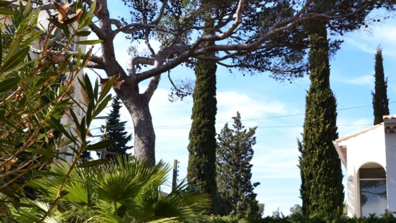 Photo of Outdoor in Saint-Raphael