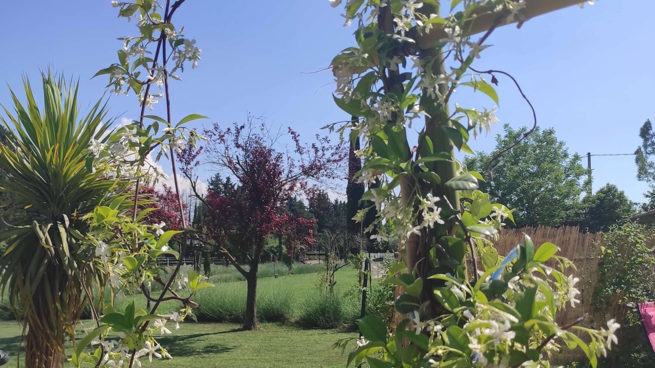 Photo of Outdoor in Velleron