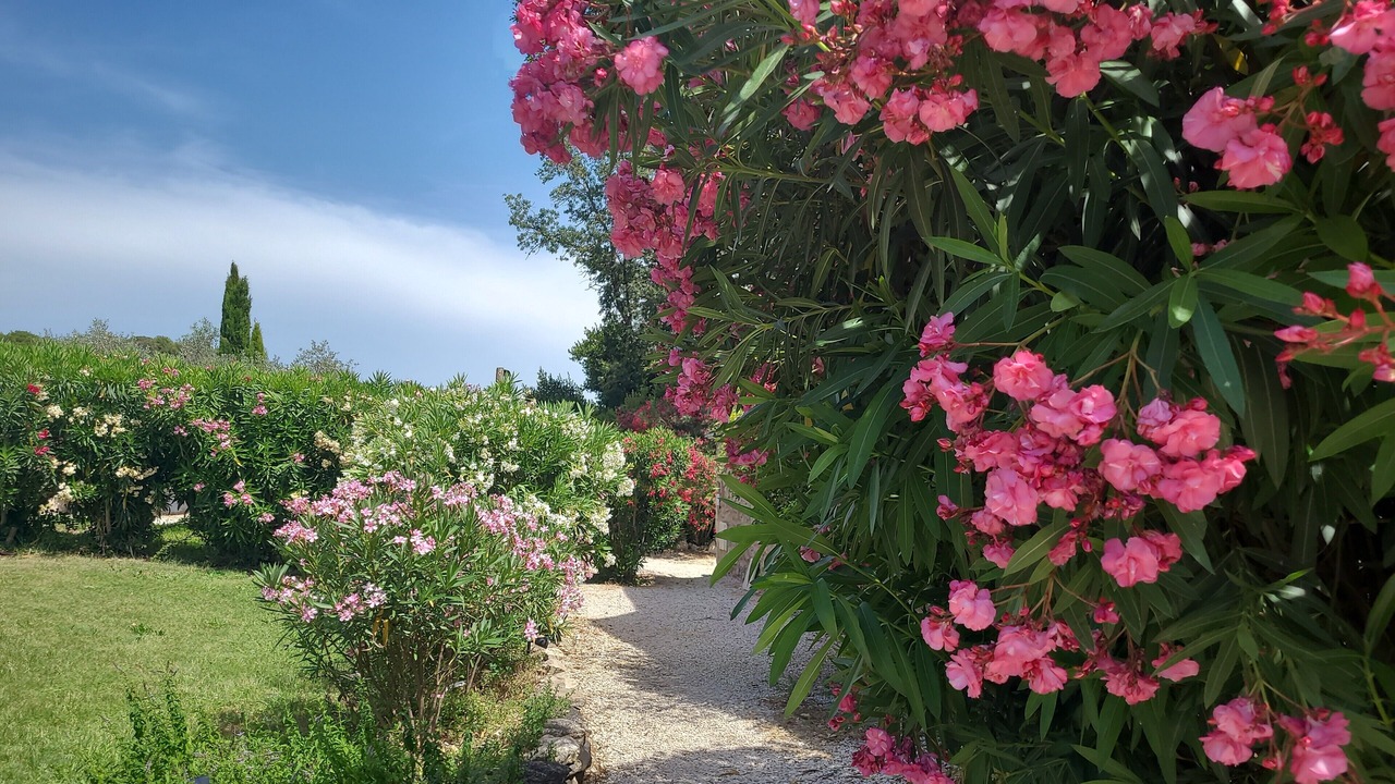 Photo of Outdoor in Maussane-les-Alpilles