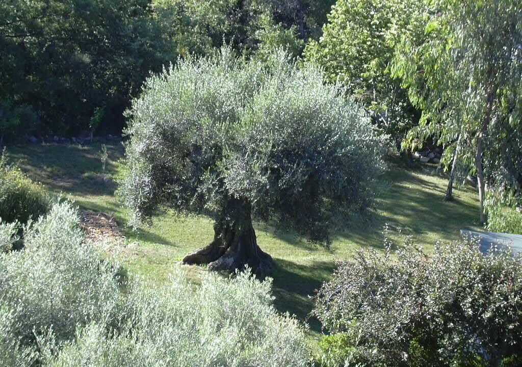Photo of Outdoor in Gattieres