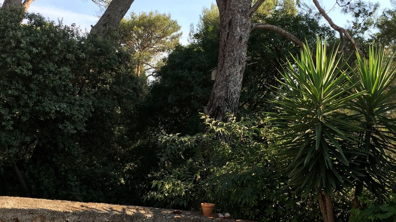 Photo of Outdoor in Hopitaux-Facultes