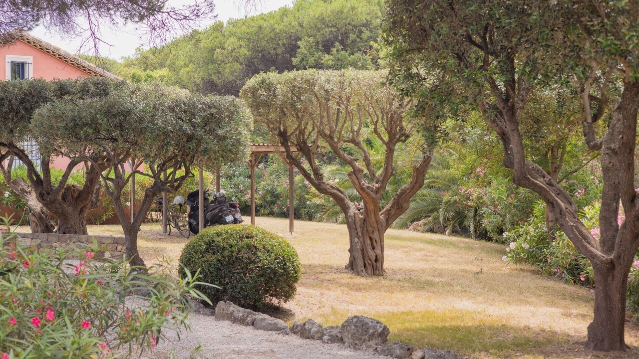 Photo of Outdoor in Saint-Tropez