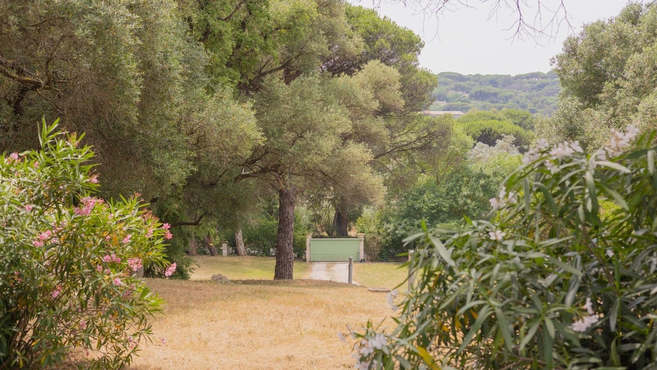 Photo of Outdoor in Saint-Tropez