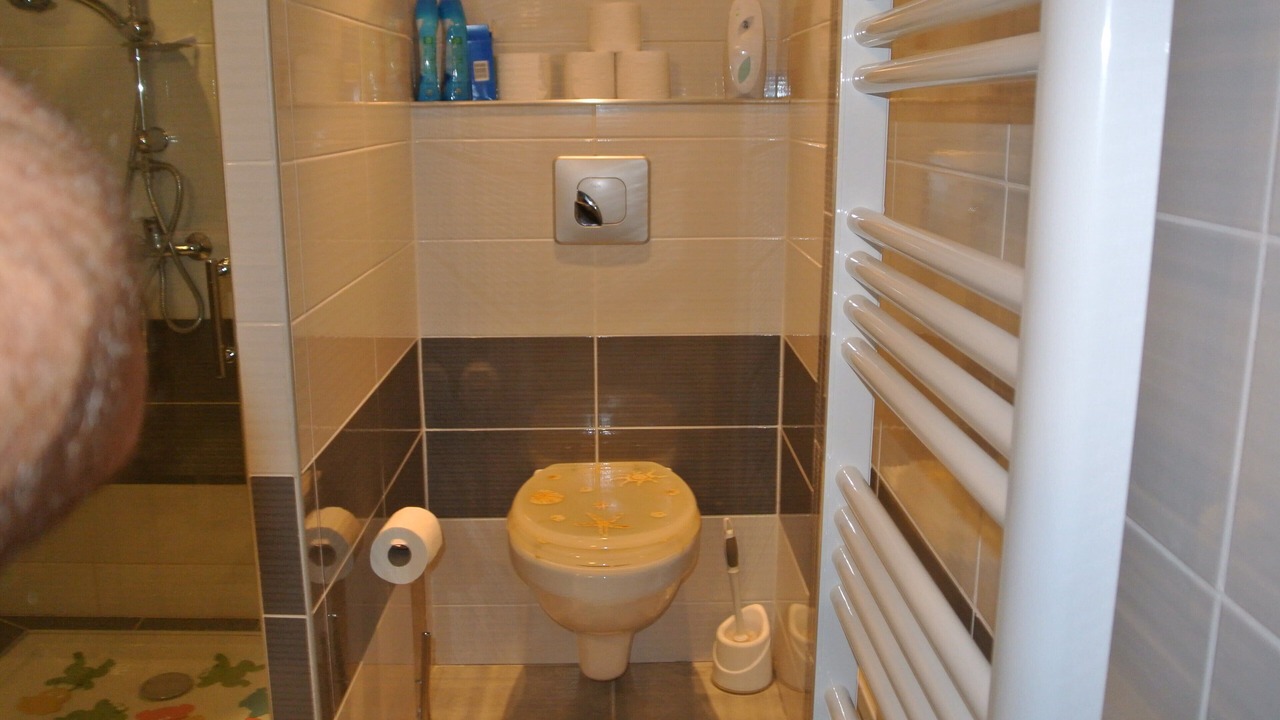 Photo of Bathroom in Buisson