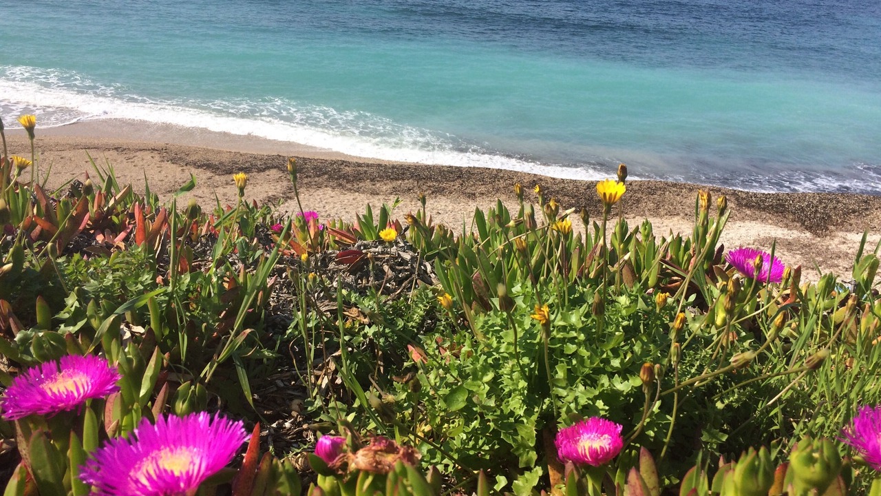 Photo of Others in Six-Fours-les-Plages