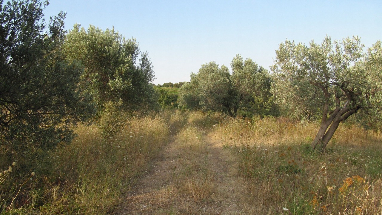 Photo of Outdoor in La Garde-Freinet