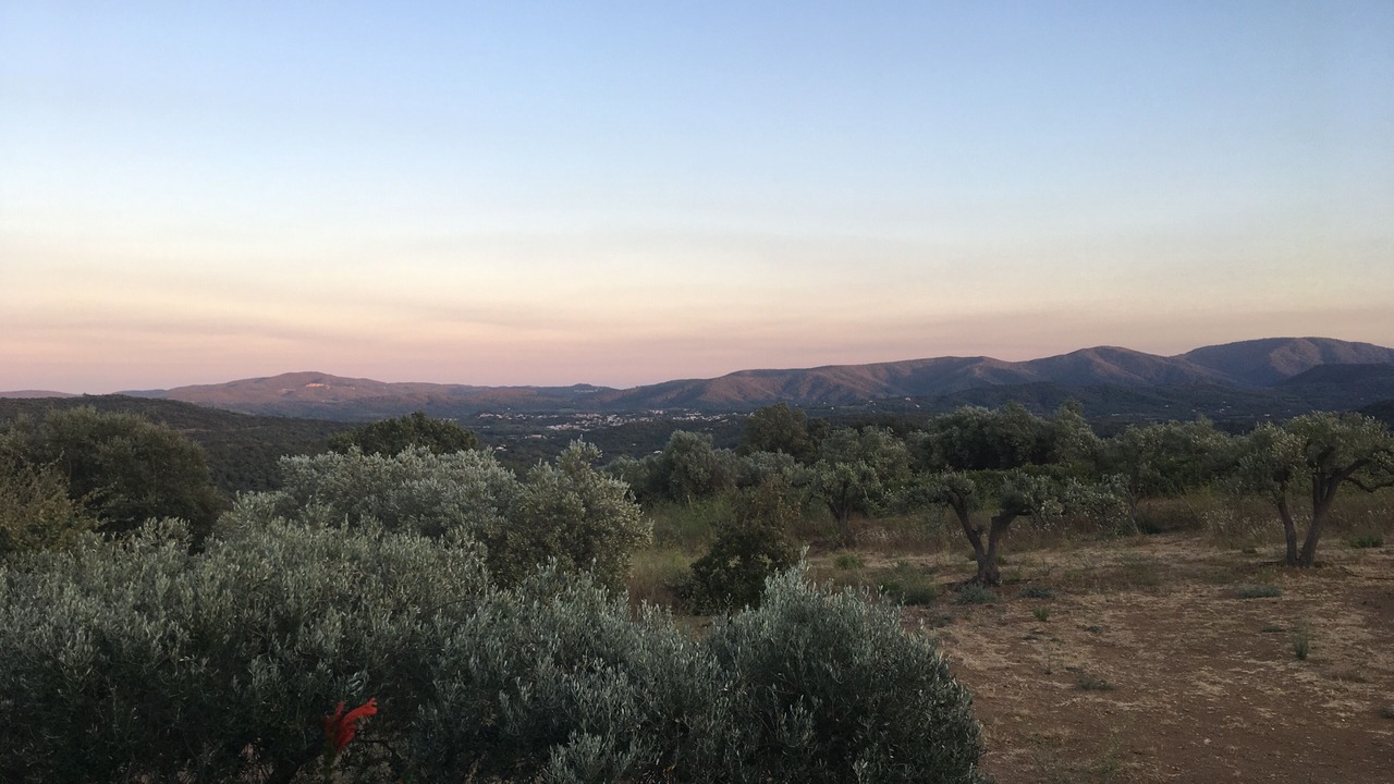 Photo of Others in La Garde-Freinet