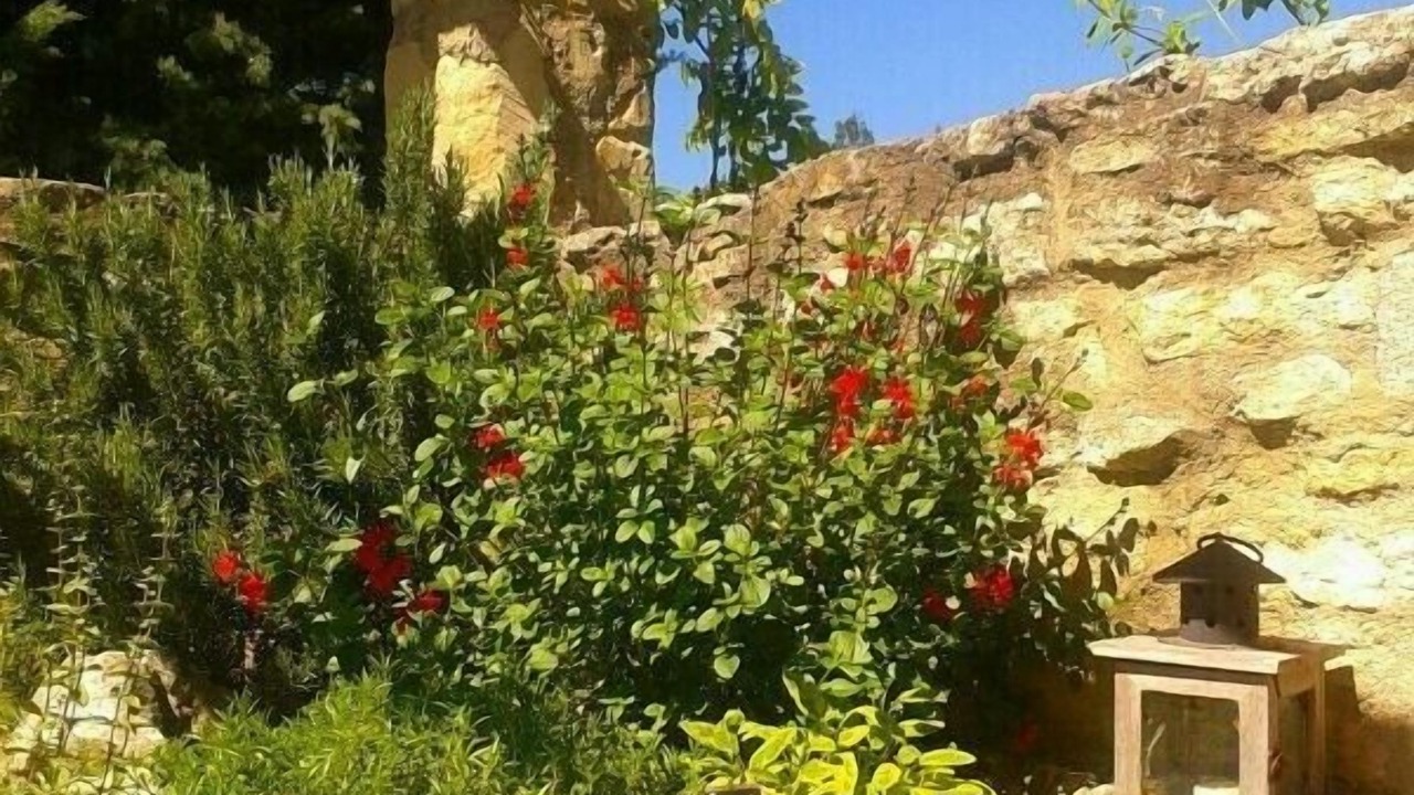 Photo of Outdoor in Gordes