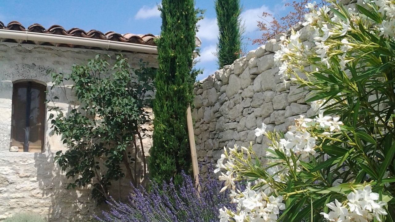 Photo of Others in Gordes