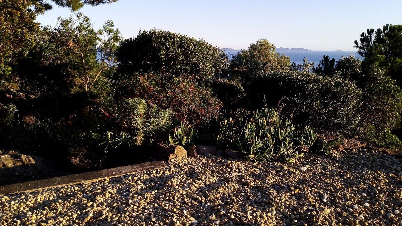 Photo of Outdoor in Le Rayol
