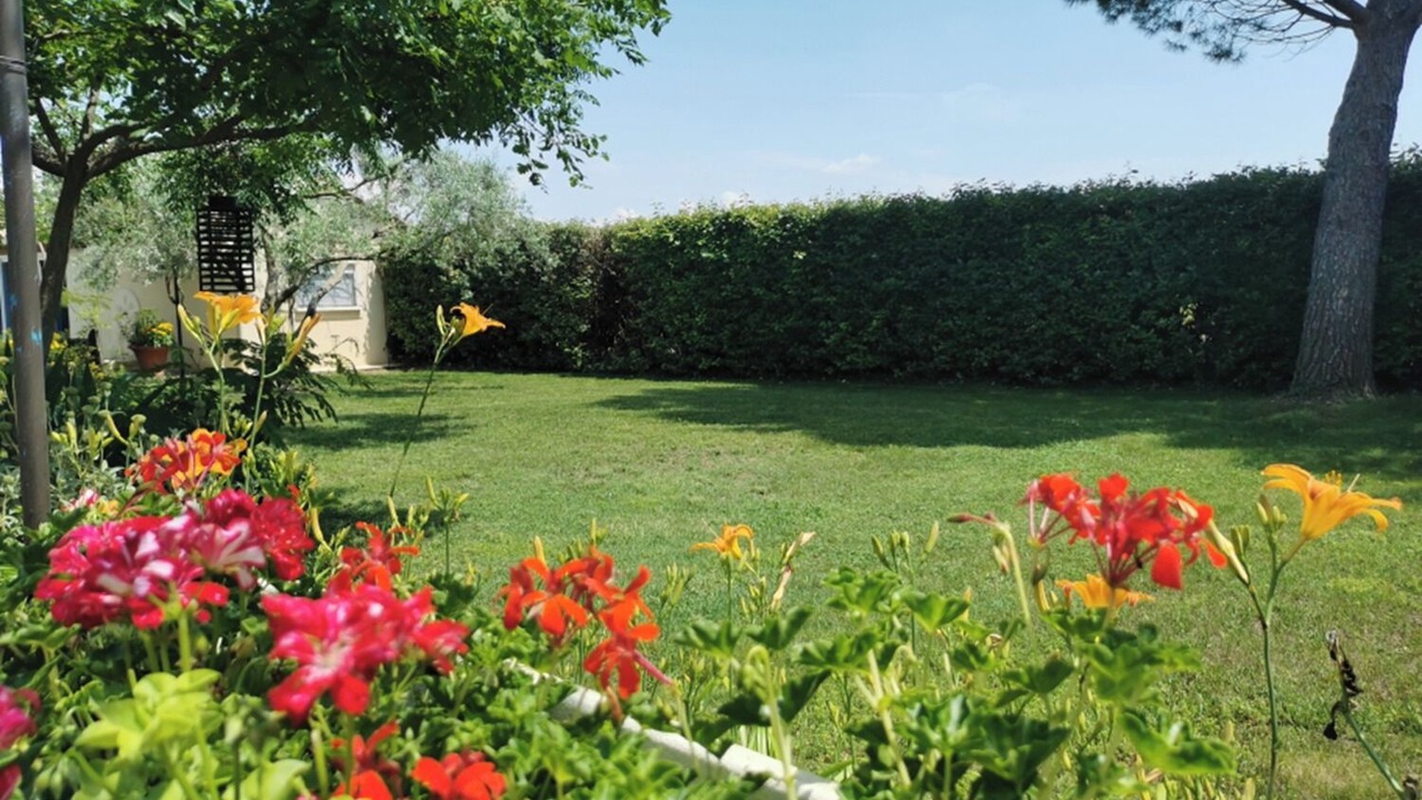 Photo of Outdoor in Bedarrides
