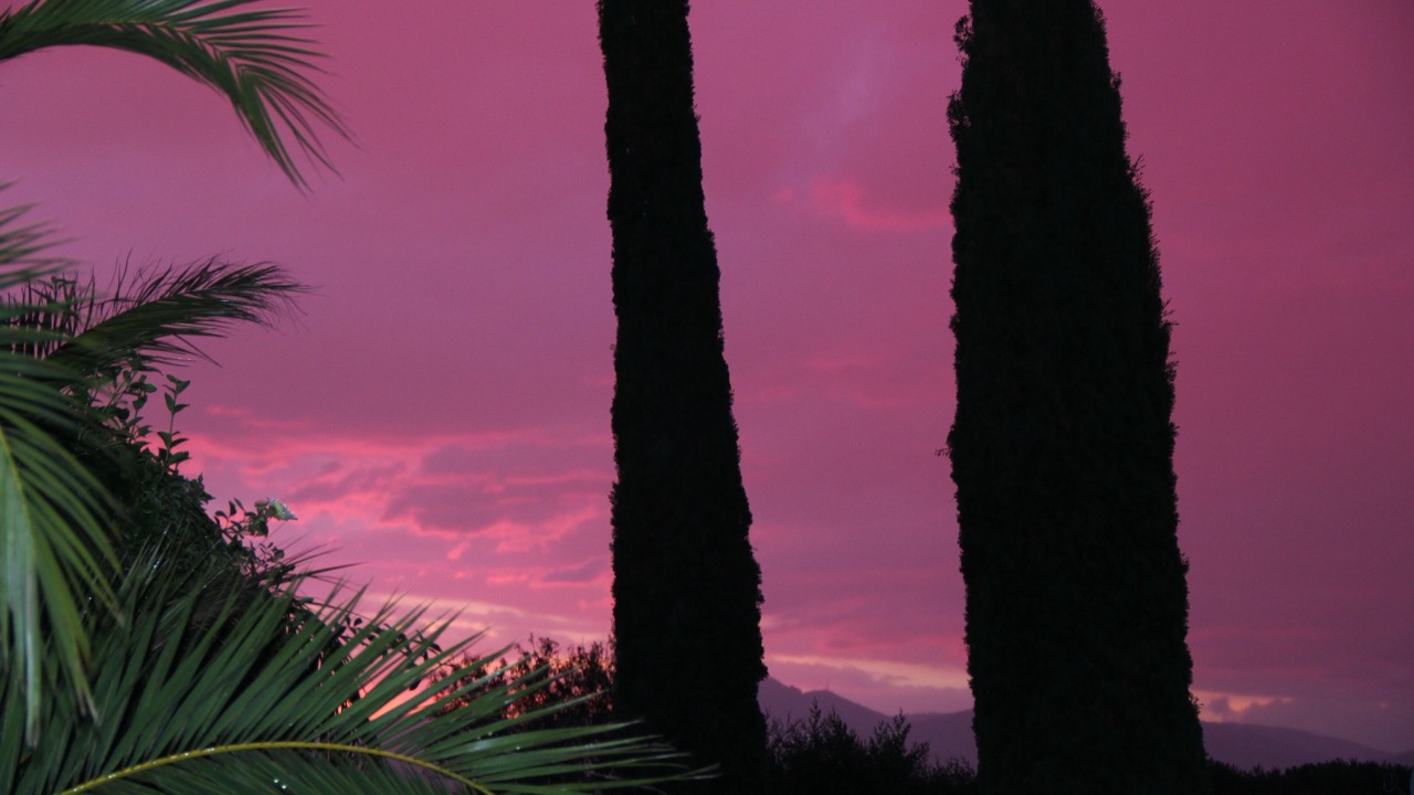Photo of Outdoor in Saint-Tropez