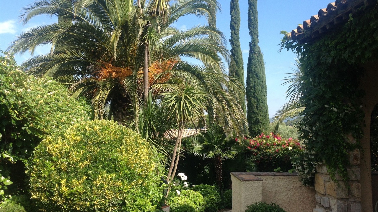 Photo of Outdoor in Saint-Tropez