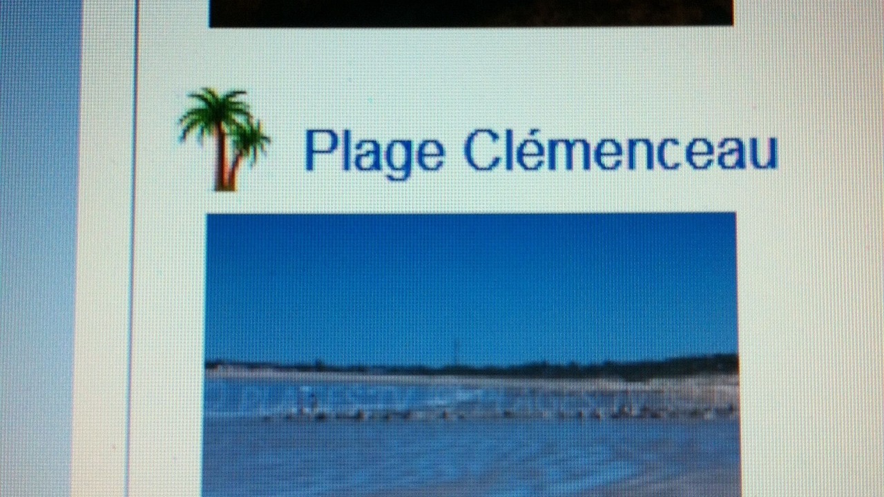 Photo of Others in La Tranche-sur-Mer