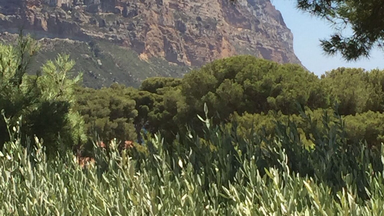 Photo of Outdoor in Cassis