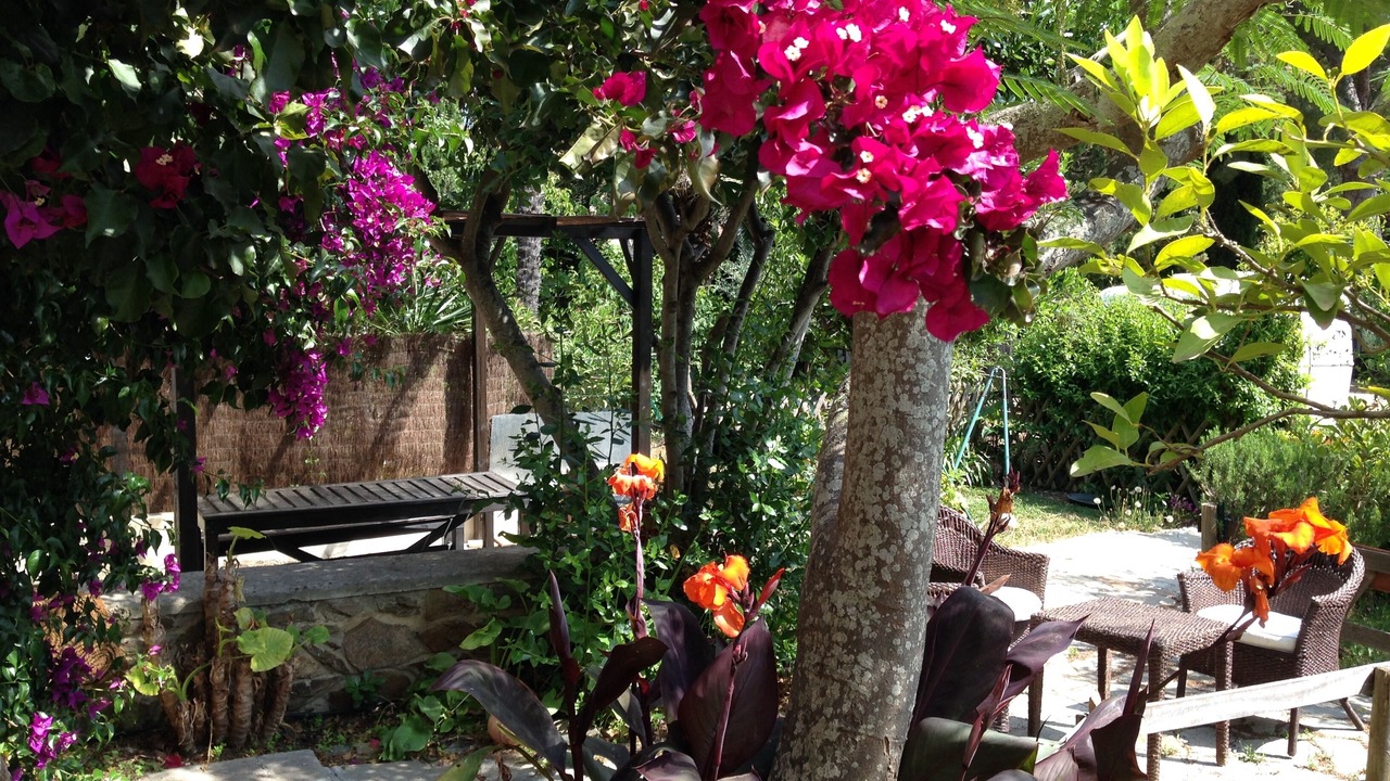 Photo of Patio Balcony in Giens