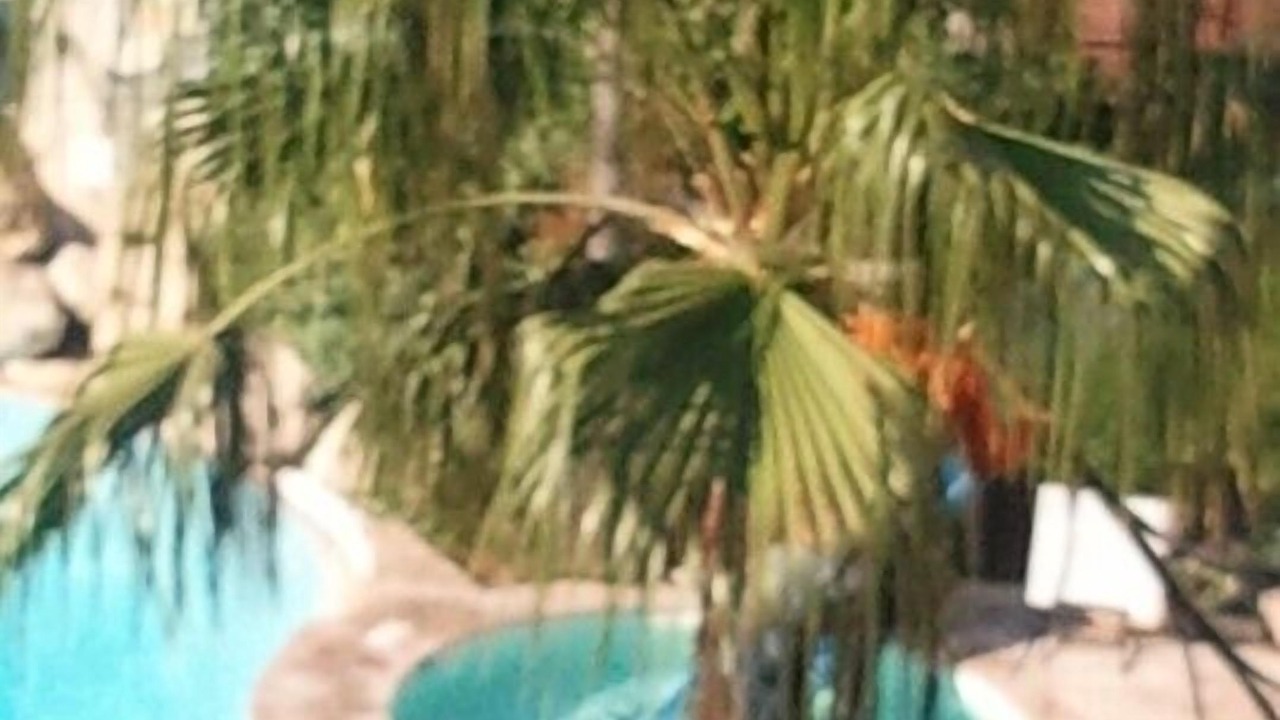 Photo of Outdoor in Cannes La Bocca