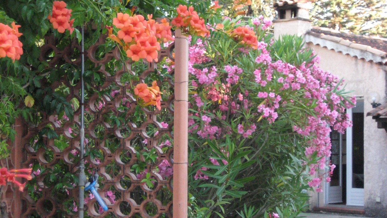 Photo of Outdoor in Montauroux