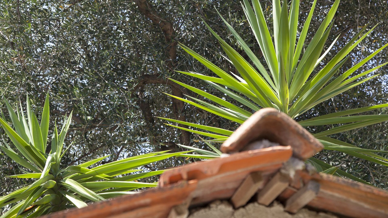 Photo of Outdoor in Bendejun