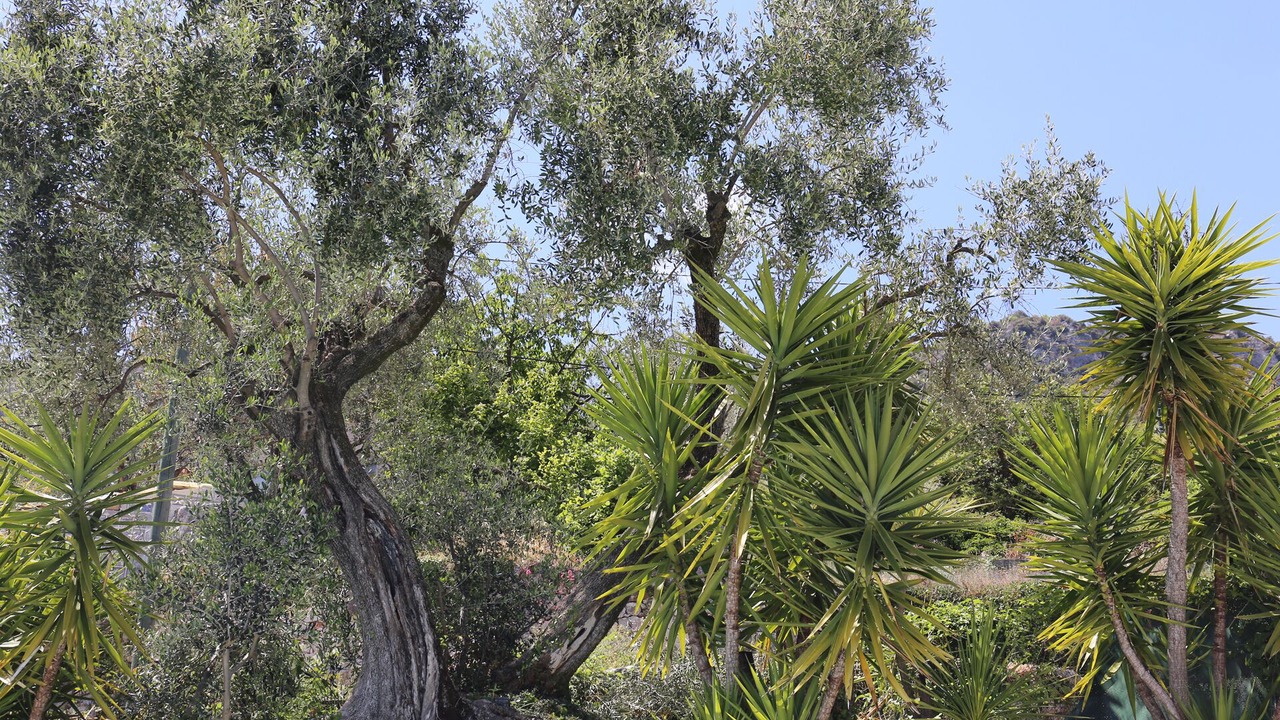 Photo of Outdoor in Bendejun