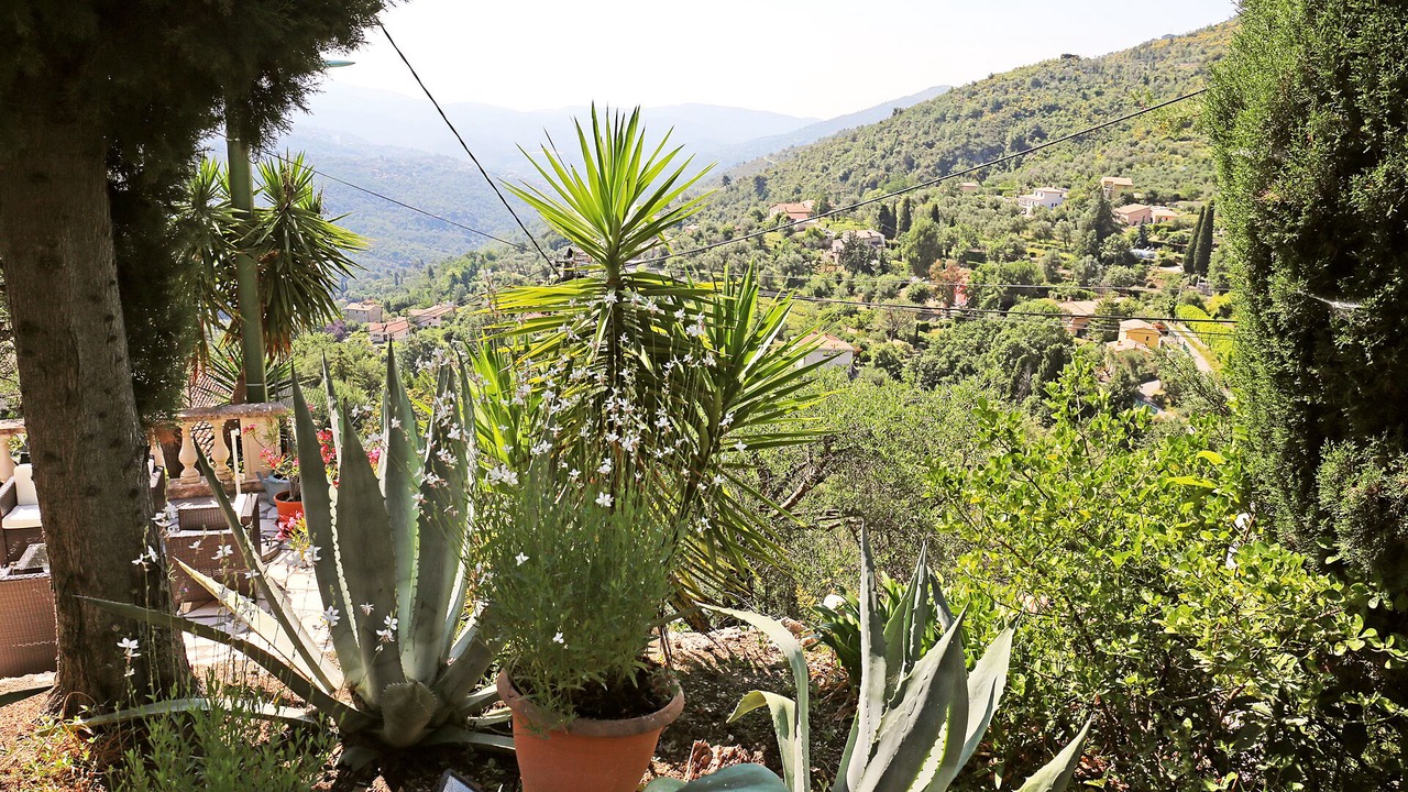 Photo of Outdoor in Bendejun