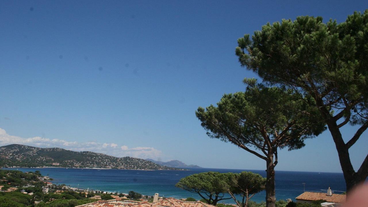 Photo of Others in Sainte-Maxime