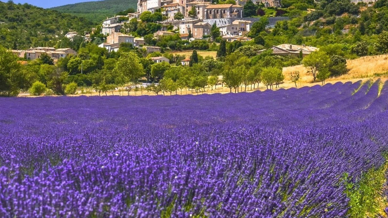 Photo of Outdoor in Jonquerettes