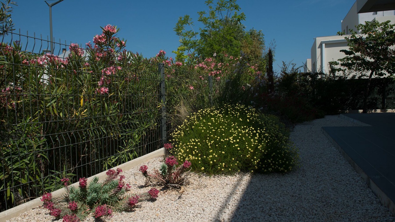 Photo of Outdoor in Sete