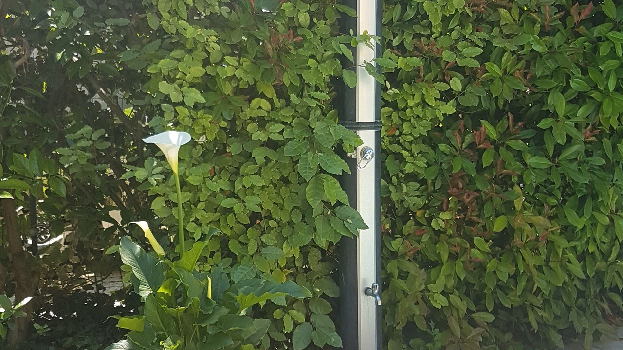 Photo of Outdoor in Aix-en-Provence