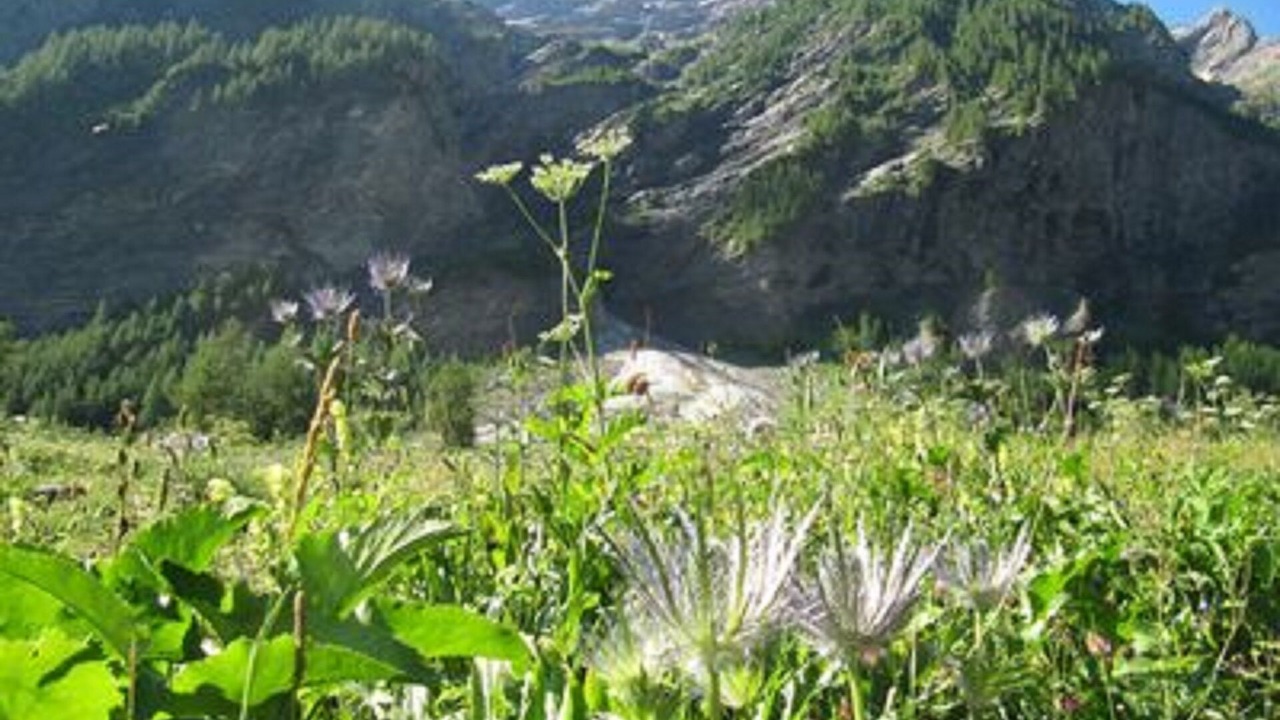 Photo of Outdoor in Vallouise