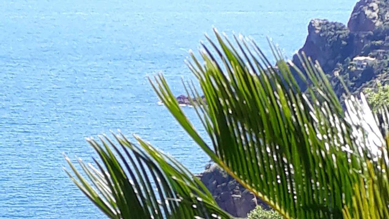 Photo of Outdoor in Theoule-Superieur