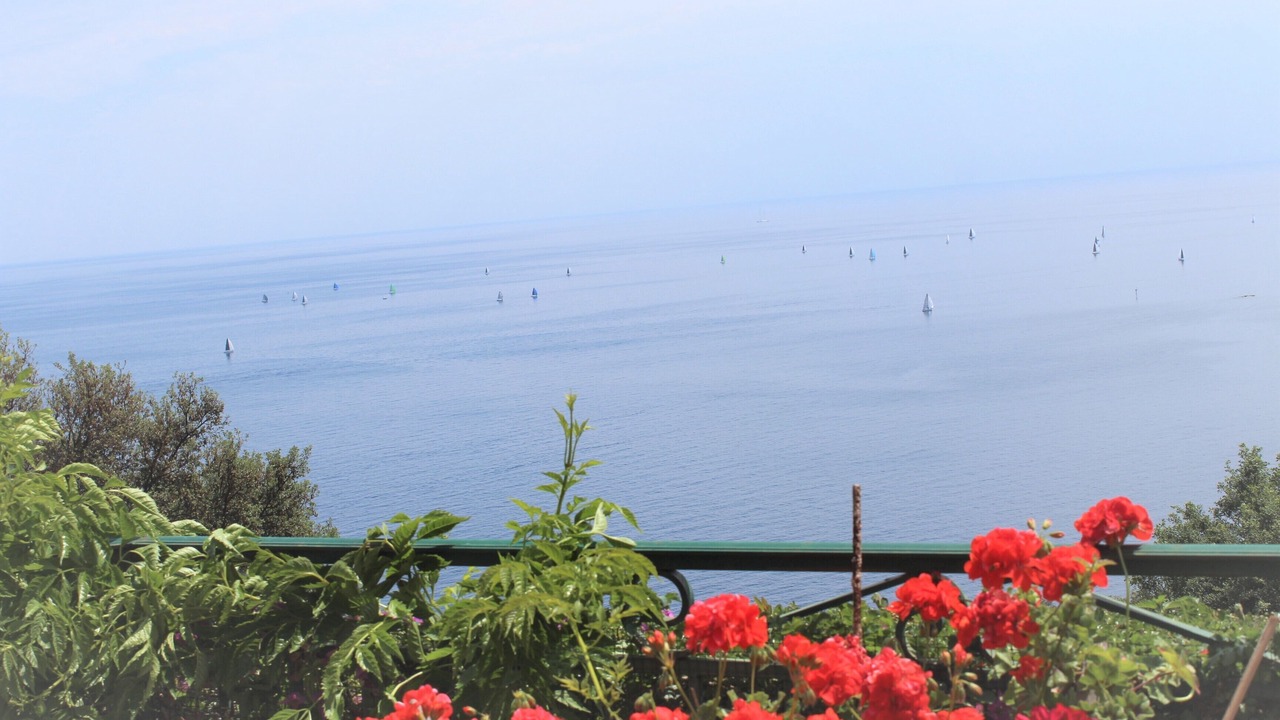 Photo of Outdoor in Theoule-Superieur